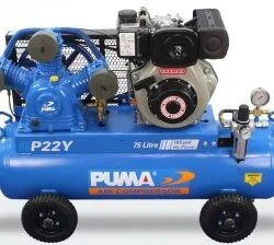 Puma P22Y